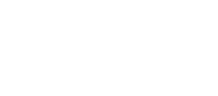 google-partner-logo